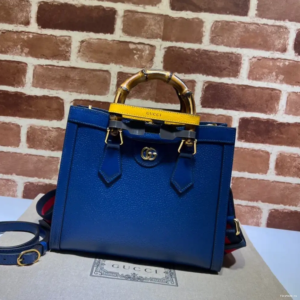 bag Diana GUCCI tote small 0604